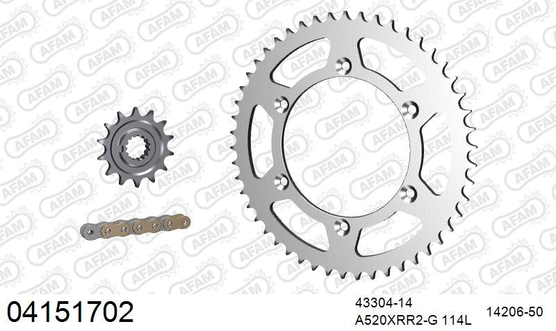 AFAM 520XRR3 114 ARS (CLIP) GOLD & SPROCKETS 1