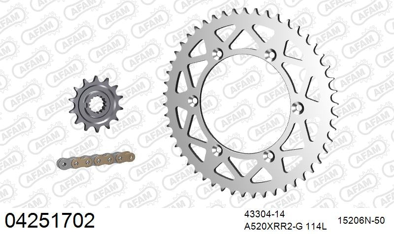 AFAM 520XRR3 114 ARS (CLIP) GOLD & SPROCKETS 1