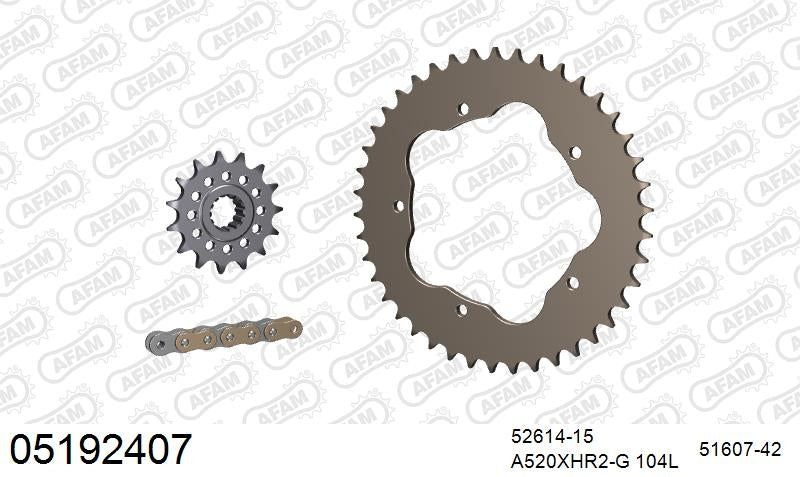 AFAM 520XHR2 104 MRS (RIVET) GOLD & SPROCKETS 1