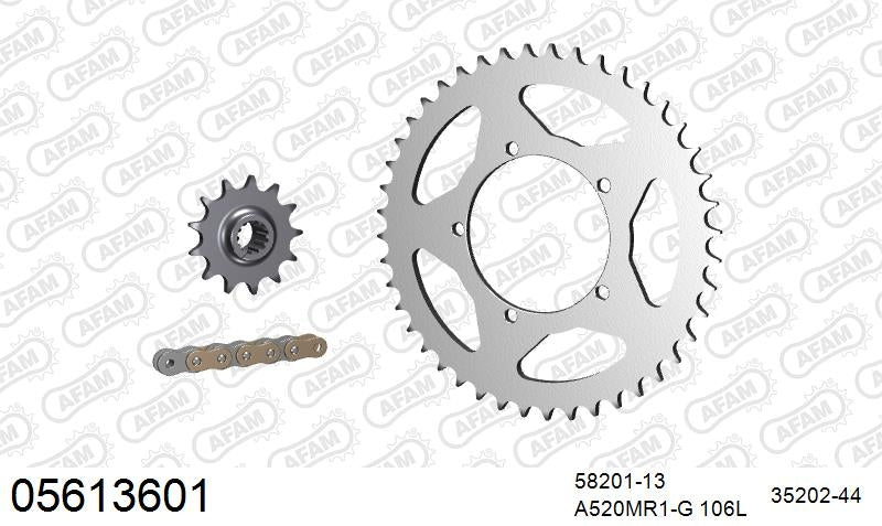 AFAM 520MR2 106 ARS (CLIP) GOLD & SPROCKETS 1