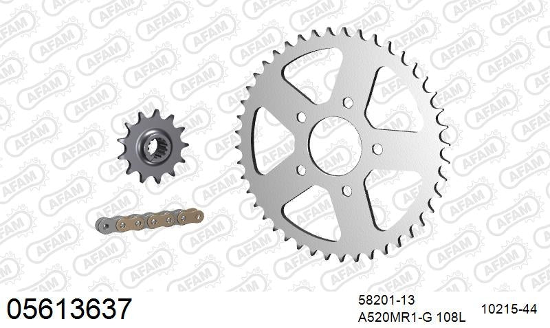 AFAM 520MR2 108 ARS (CLIP) GOLD & SPROCKETS 1