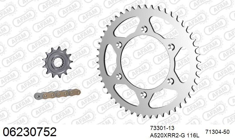 AFAM 520XRR3 116 ARS (CLIP) GOLD & SPROCKETS 1