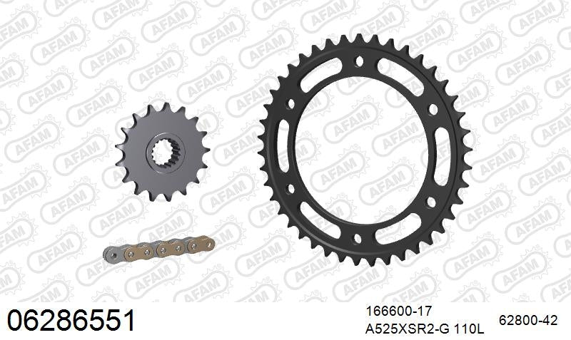 AFAM 525XSR2 110 MRS (RIVET) GOLD & SPROCKETS 1