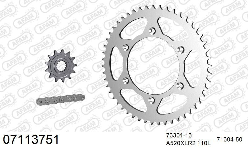 AFAM 520XRR3 110 ARS (CLIP) GOLD & SPROCKETS 1