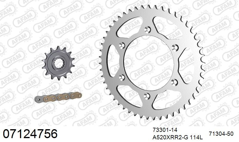 AFAM 520XRR3 114 ARS (CLIP) GOLD & SPROCKETS 1