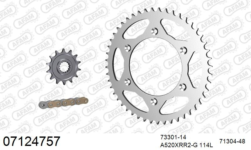 AFAM 520XRR3 114 ARS (CLIP) GOLD & SPROCKETS 1