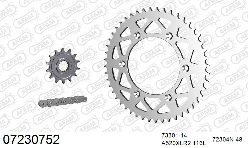 AFAM 520XRR3 116 ARS (CLIP) GOLD & SPROCKETS 1