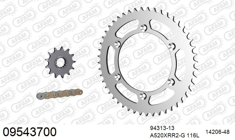 AFAM 520XRR3 116 ARS (CLIP) GOLD & SPROCKETS 1