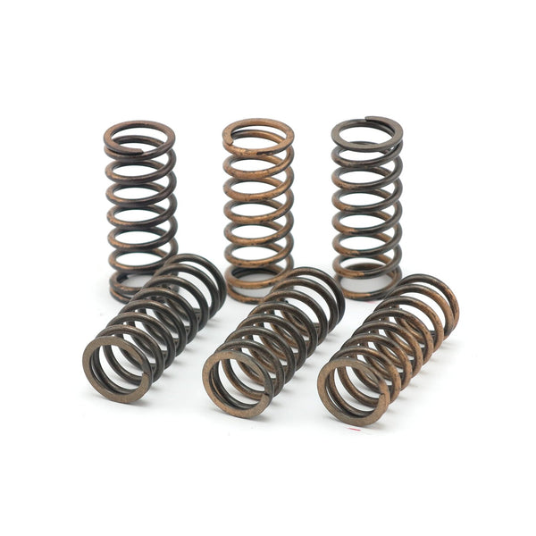 TRW clutch spring kit 1