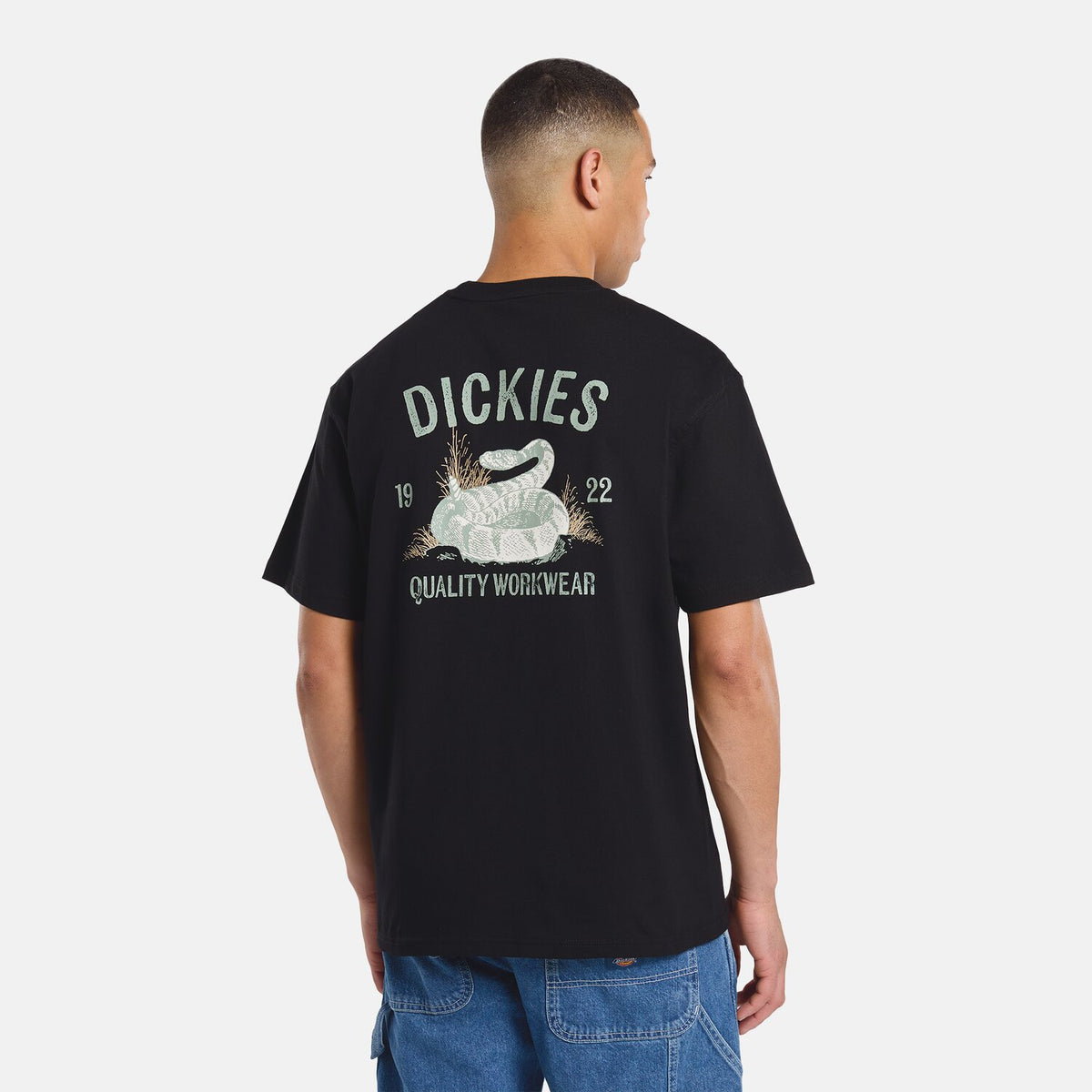 Dickies Snake t-shirt black 3
