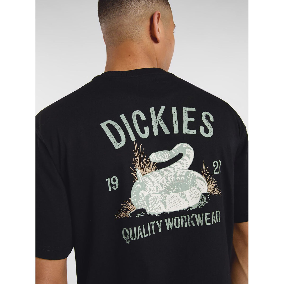Dickies Snake t-shirt black 5