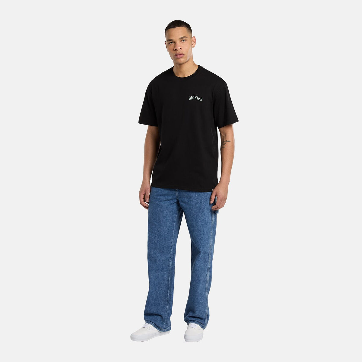 Dickies Snake t-shirt black 8