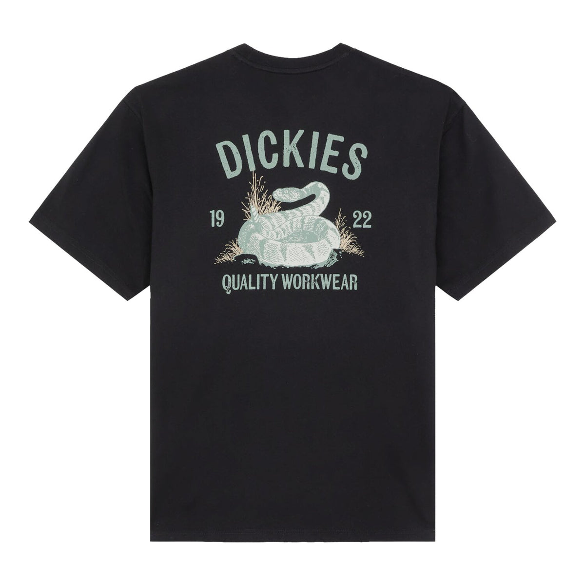 Dickies Snake t-shirt black 1