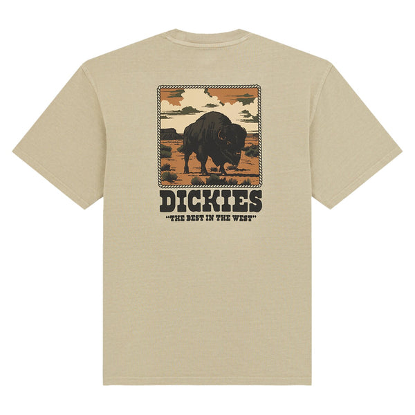 Dickies Darrtown t-shirt beige 1