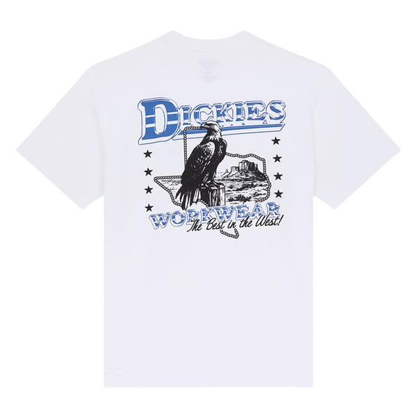 Dickies Gainesville t-shirt white 1
