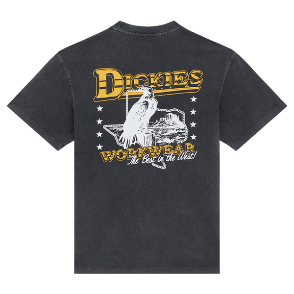 Dickies Gainesville t-shirt black 1