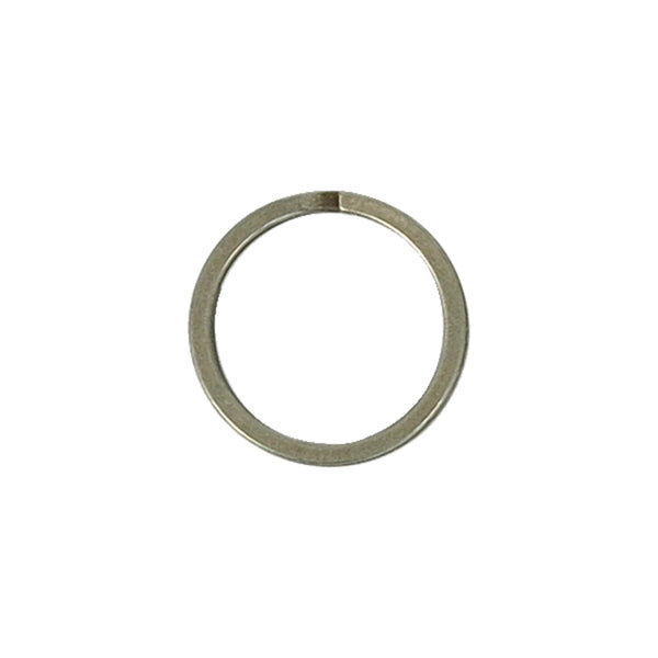 MCS Retaining ring, shifter cam end 1