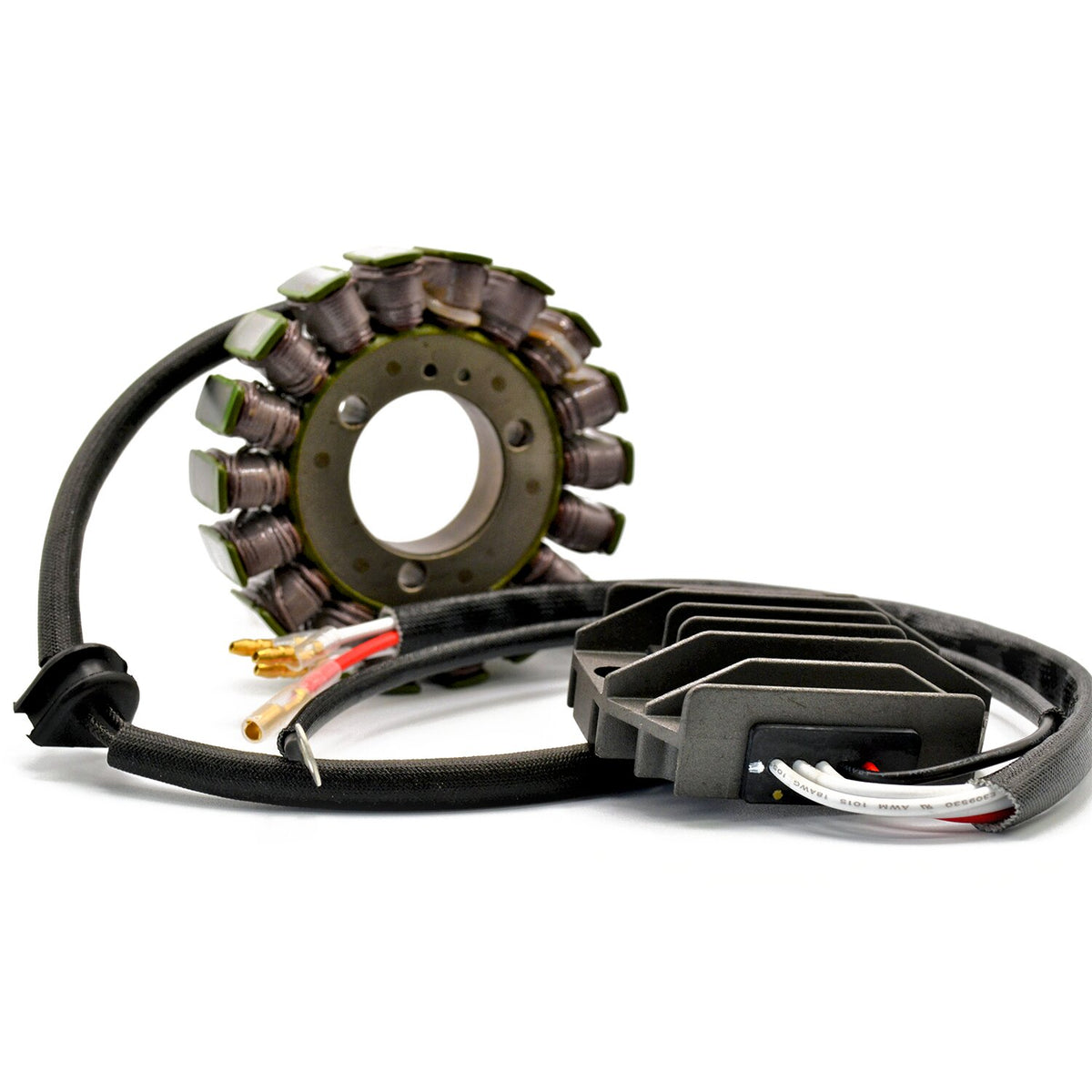 Rick's Motorsport Electronics Rick's Hot Shot Lithium Ion compatible charging kit 1