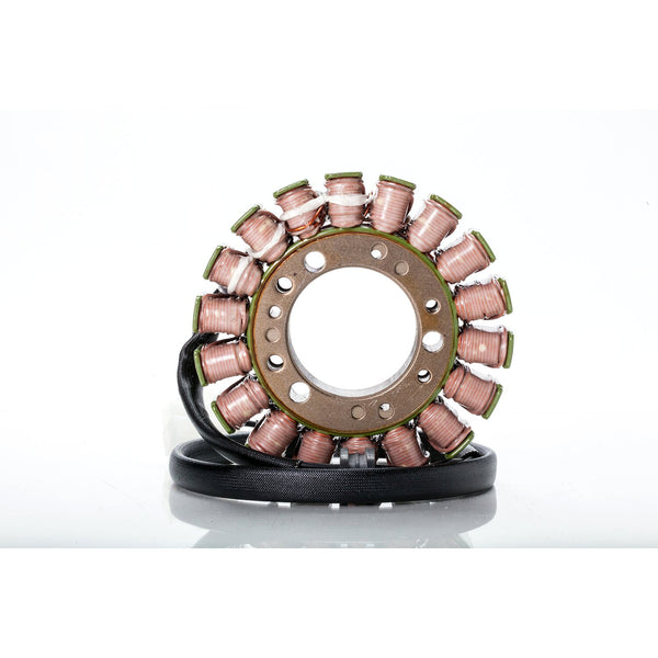 Rick's Motorsport Electronics Rick's stator, OEM style Triumph 1