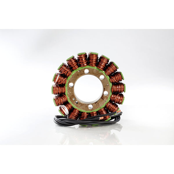 Rick's Motorsport Electronics Rick's Hot Shot Suzuki stator 1