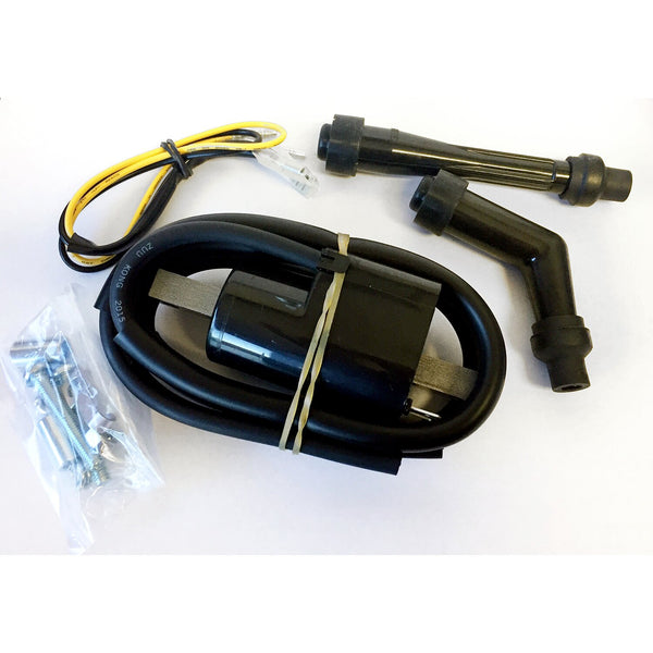 Rick's Motorsport Electronics Rick's ignition coils 1