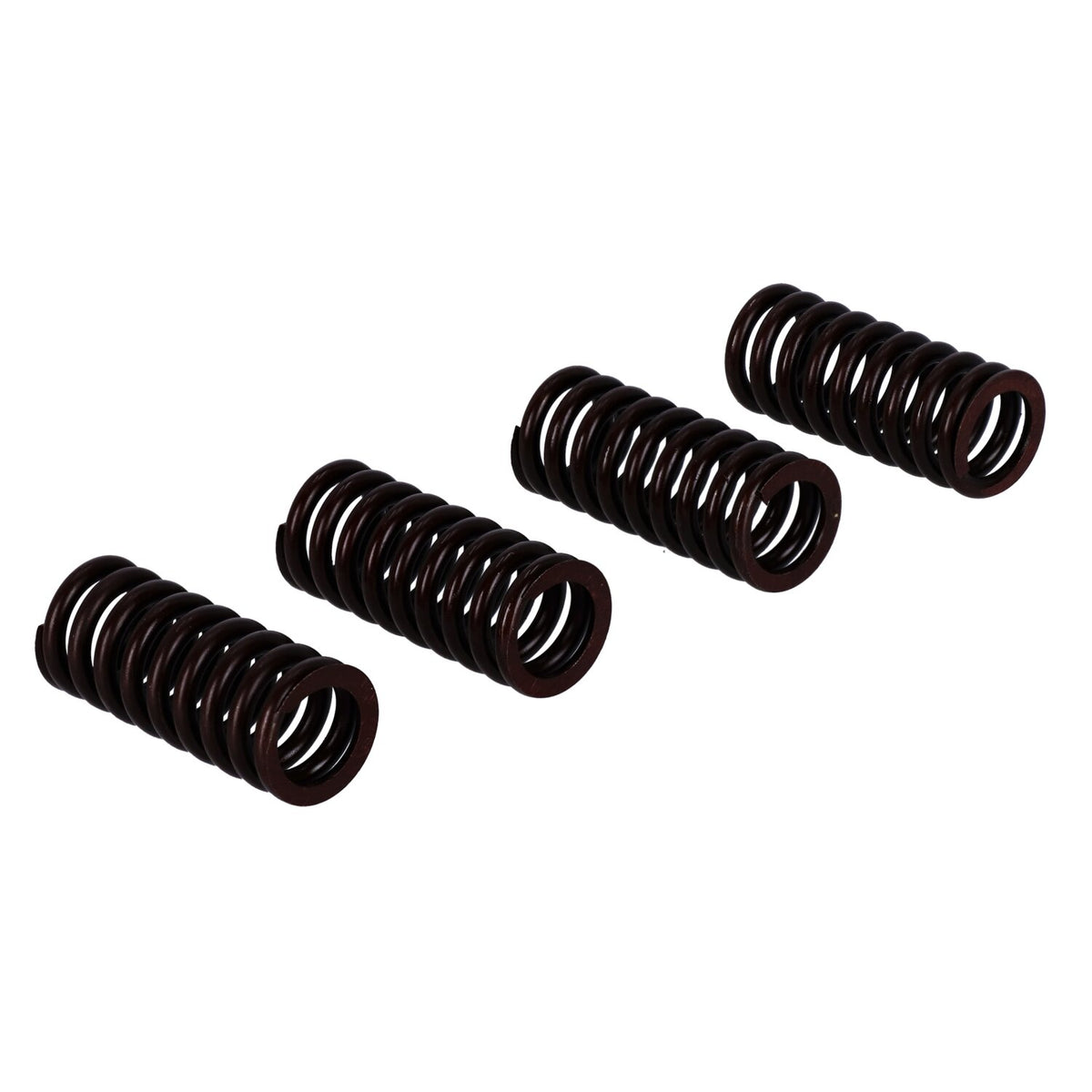 MCS Valve spring set 2