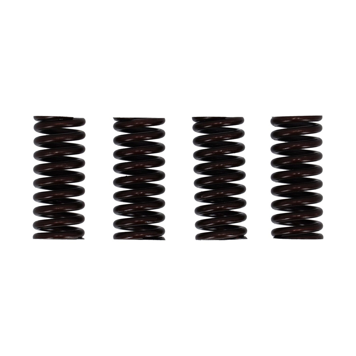 MCS Valve spring set 1