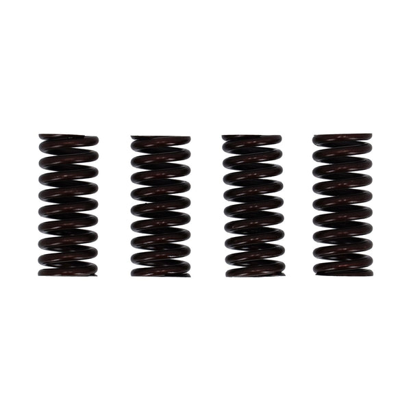 MCS Valve spring set 1